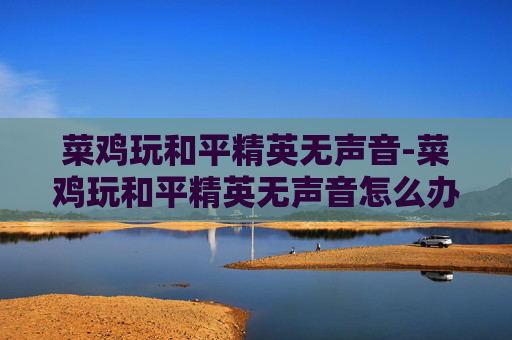 菜鸡玩和平精英无声音-菜鸡玩和平精英无声音怎么办