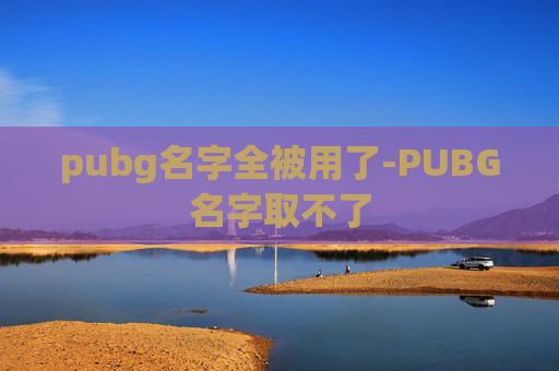 pubg名字全被用了-PUBG名字取不了