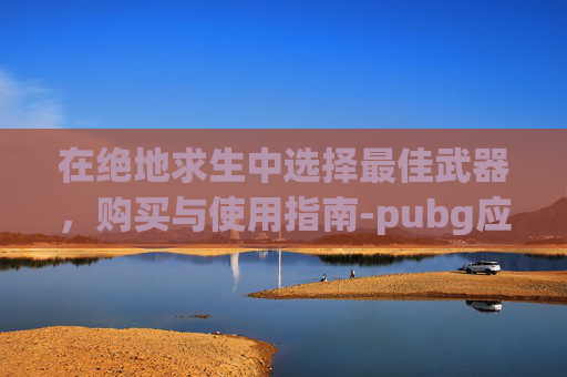 在绝地求生中选择最佳武器，购买与使用指南-pubg应该选哪一个