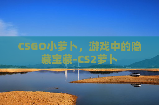 CSGO小萝卜，游戏中的隐藏宝藏-CS2萝卜