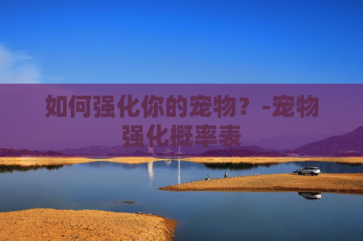 如何强化你的宠物？-宠物强化概率表