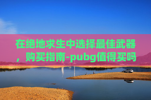 在绝地求生中选择最佳武器，购买指南-pubg值得买吗