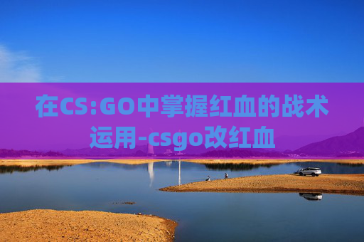 在CS:GO中掌握红血的战术运用-csgo改红血