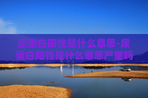 尿蛋白阳性是什么意思-尿蛋白阳性是什么意思严重吗