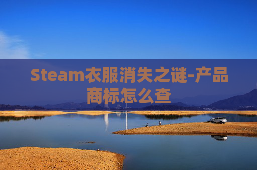 Steam衣服消失之谜-产品商标怎么查