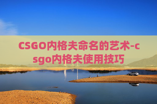 CSGO内格夫命名的艺术-csgo内格夫使用技巧