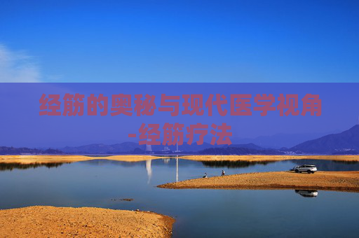 经筋的奥秘与现代医学视角-经筋疗法