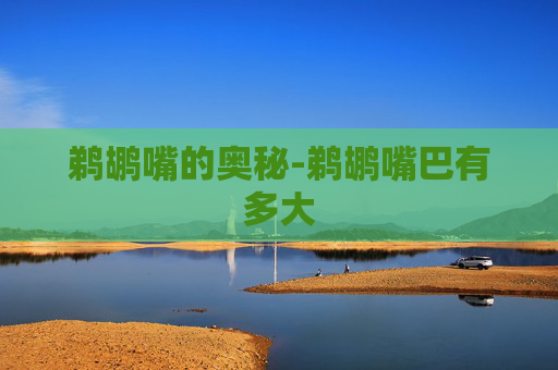 鹈鹕嘴的奥秘-鹈鹕嘴巴有多大