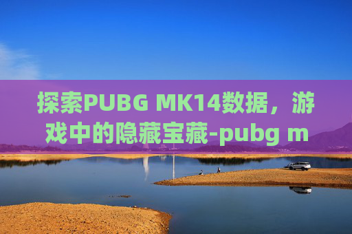 探索PUBG MK14数据，游戏中的隐藏宝藏-pubg mk47