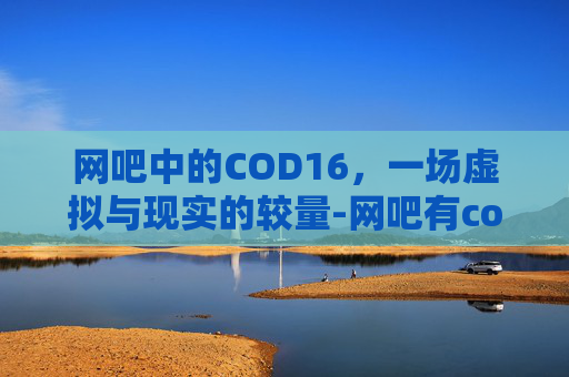 网吧中的COD16，一场虚拟与现实的较量-网吧有cod战区吗