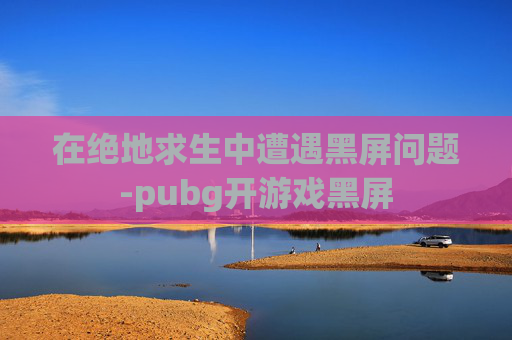 在绝地求生中遭遇黑屏问题-pubg开游戏黑屏