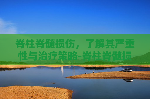 脊柱脊髓损伤，了解其严重性与治疗策略-脊柱脊髓损伤时搬运首选