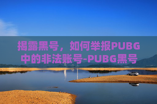 揭露黑号，如何举报PUBG中的非法账号-PUBG黑号