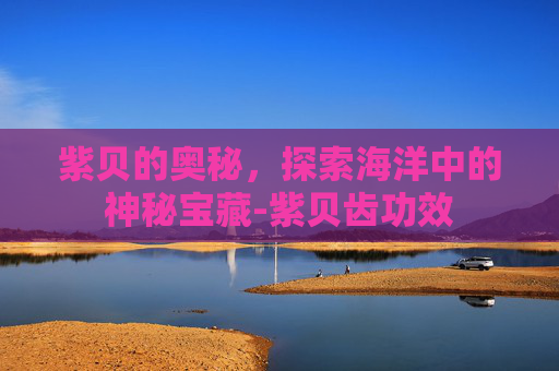 紫贝的奥秘,探索海洋中的神秘宝藏-紫贝齿功效 紫贝的奥秘,探索海洋中的神秘宝藏-紫贝齿功效