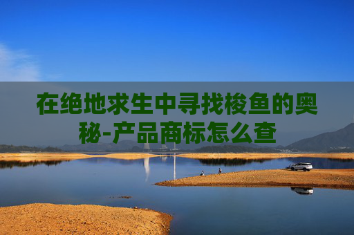 在绝地求生中寻找梭鱼的奥秘-产品商标怎么查