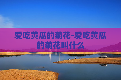 爱吃黄瓜的菊花-爱吃黄瓜的菊花叫什么