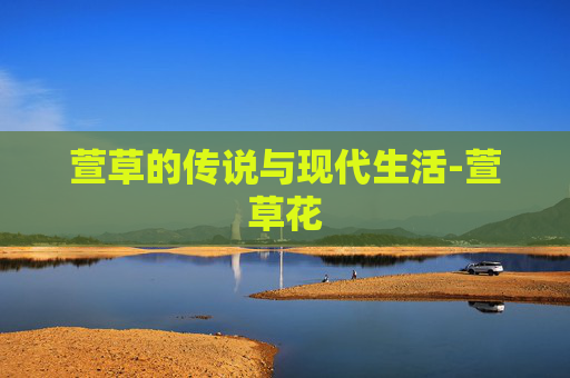 萱草的传说与现代生活-萱草花 萱草的传说与现代生活-萱草花