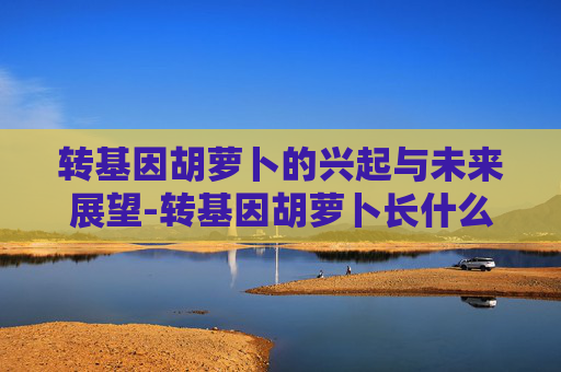 转基因胡萝卜的兴起与未来展望-转基因胡萝卜长什么样 转基因胡萝卜的兴起与未来展望-转基因胡萝卜长什么样