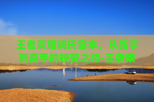 王者荣耀嗨氏宫本,从新手到高手的蜕变之路-王者荣耀宫本cg动画 王者荣耀嗨氏宫本,从新手到高手的蜕变之路-王者荣耀宫本cg动画