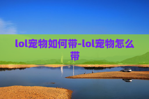 lol宠物如何带-lol宠物怎么带