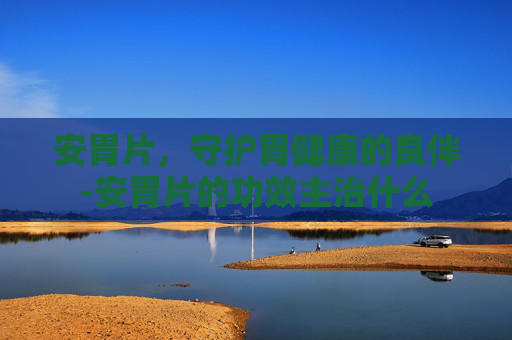 安胃片，守护胃健康的良伴-安胃片的功效主治什么