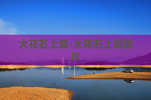 大花石上莲-大花石上莲图片