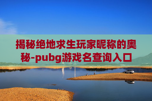 揭秘绝地求生玩家昵称的奥秘-pubg游戏名查询入口