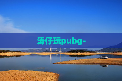 涛仔玩pubg-