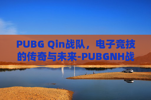 PUBG Qin战队，电子竞技的传奇与未来-PUBGNH战队