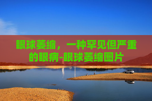 眼球萎缩，一种罕见但严重的眼病-眼球萎缩图片