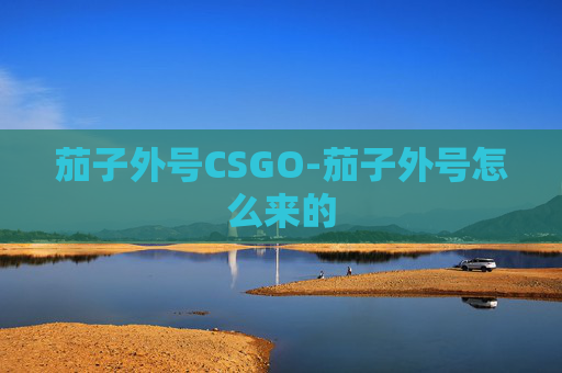 茄子外号CSGO-茄子外号怎么来的