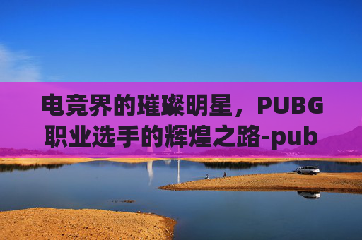 电竞界的璀璨明星，PUBG职业选手的辉煌之路-pubg职业选手mming