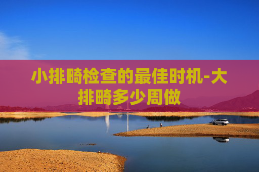 小排畸检查的最佳时机-大排畸多少周做