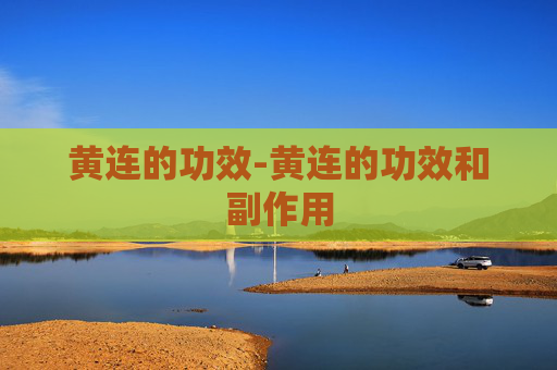 黄连的功效-黄连的功效和副作用