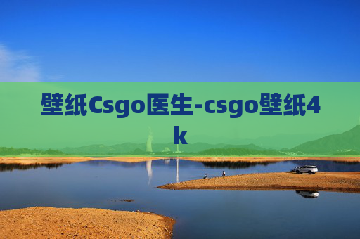 壁纸Csgo医生-csgo壁纸4k