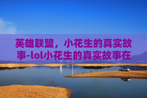 英雄联盟，小花生的真实故事-lol小花生的真实故事在线观看