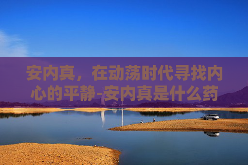 安内真，在动荡时代寻找内心的平静-安内真是什么药