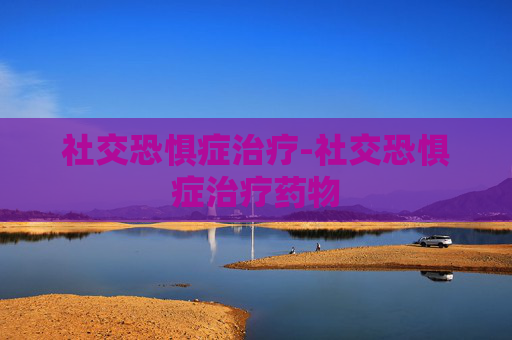 社交恐惧症治疗-社交恐惧症治疗药物