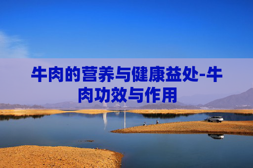 牛肉的营养与健康益处-牛肉功效与作用