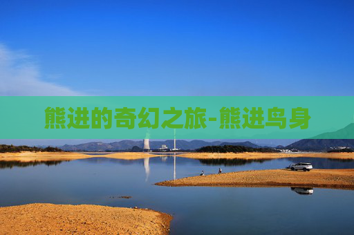 熊进的奇幻之旅-熊进鸟身