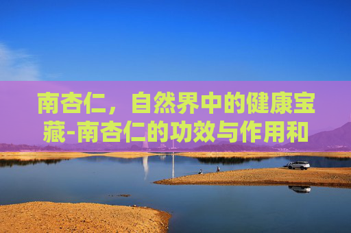 南杏仁，自然界中的健康宝藏-南杏仁的功效与作用和主治