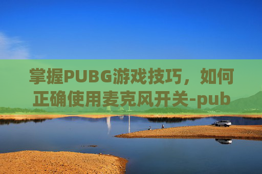 掌握PUBG游戏技巧，如何正确使用麦克风开关-pubg麦克风按t没有反应