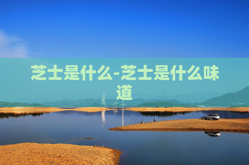 芝士是什么-芝士是什么味道