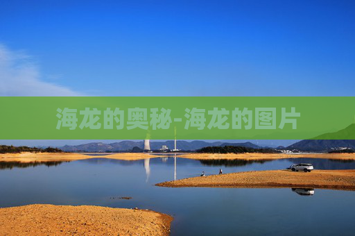 海龙的奥秘-海龙的图片