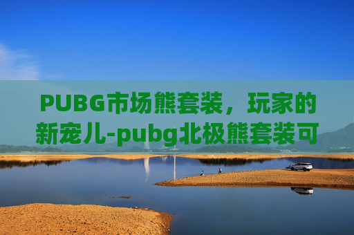 PUBG市场熊套装，玩家的新宠儿-pubg北极熊套装可以卖多少钱