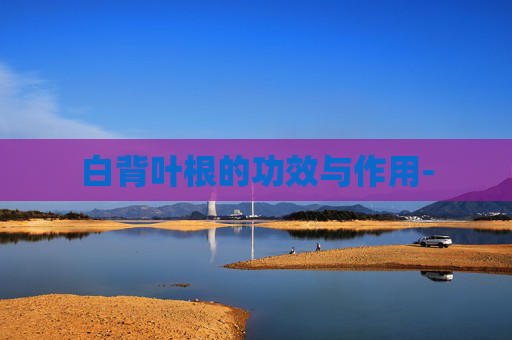 白背叶根的功效与作用-