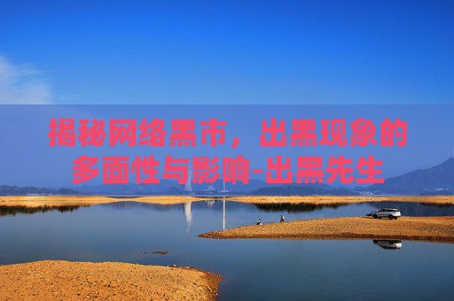 揭秘网络黑市，出黑现象的多面性与影响-出黑先生