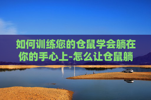 如何训练您的仓鼠学会躺在你的手心上-怎么让仓鼠躺手不挣扎