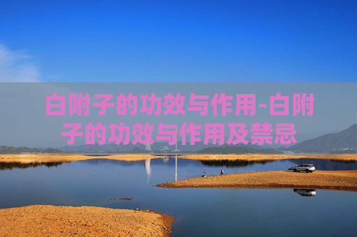 白附子的功效与作用-白附子的功效与作用及禁忌