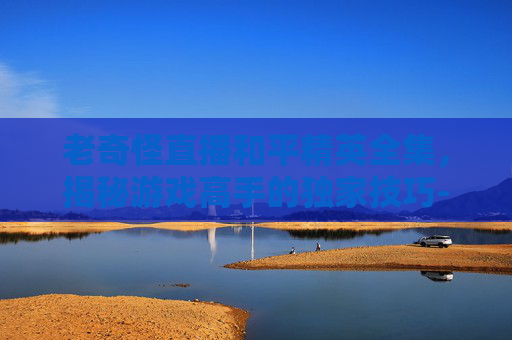 老奇怪直播和平精英全集，揭秘游戏高手的独家技巧-老奇怪直播和平精英全集在线观看